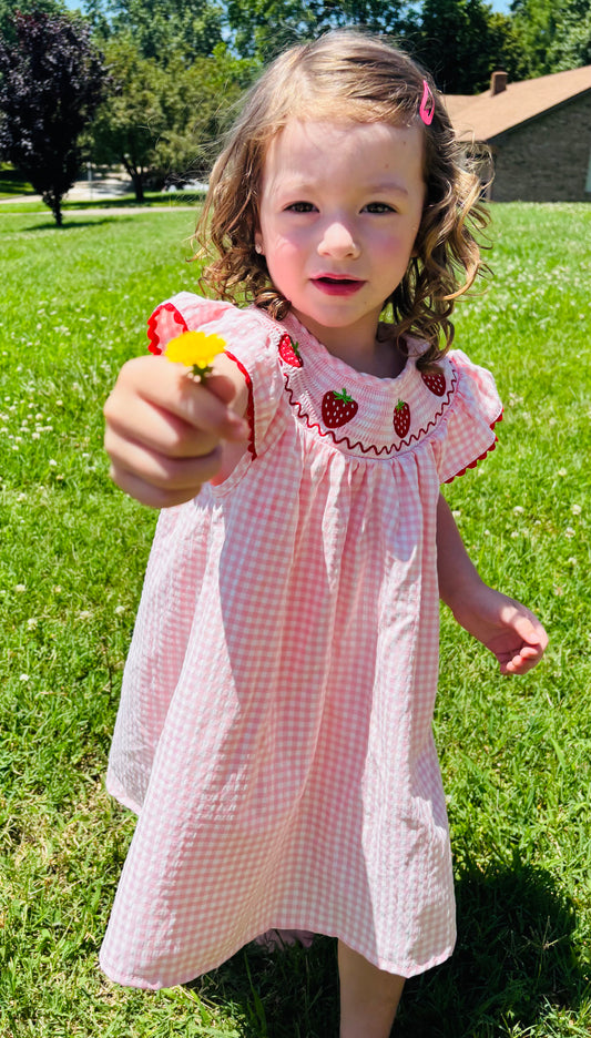 Strawberry Sweet Smocked Dress